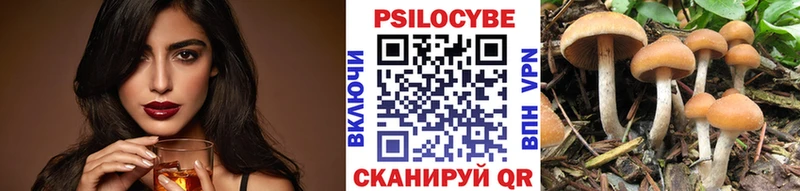 Галлюциногенные грибы MAGIC MUSHROOMS OMG как войти Озёры