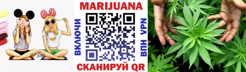 закладка Озёры Конопля индика